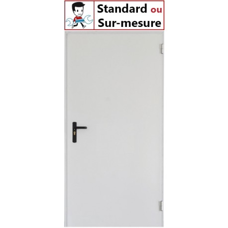 Porte Metallique Coupe Feu Sur Mesure